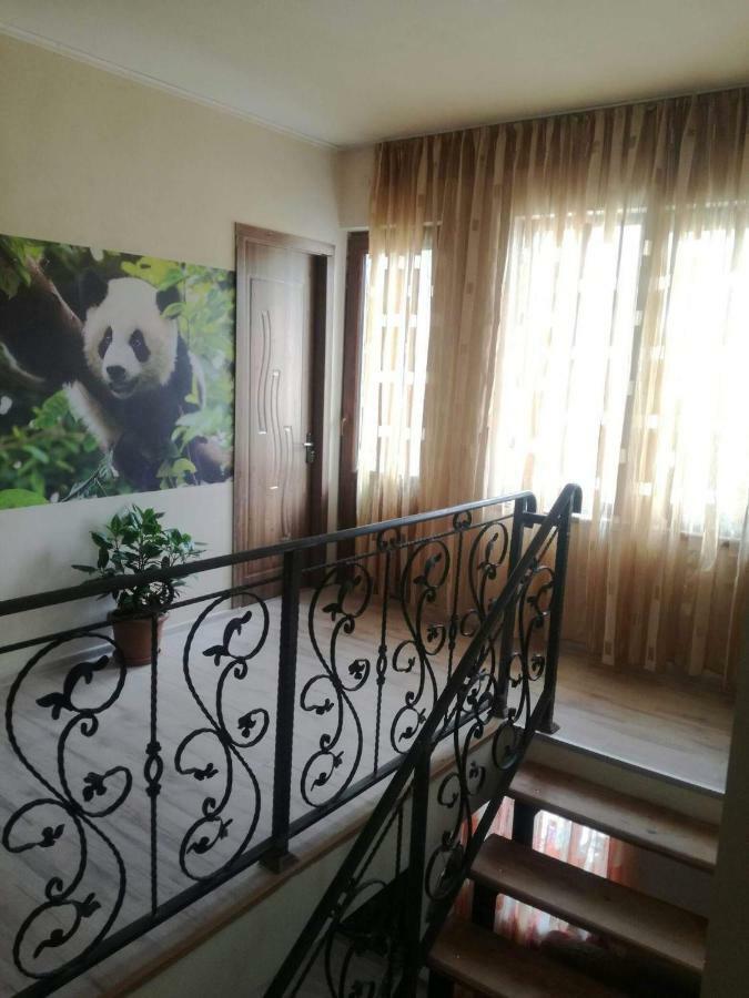 Hotel Happy Pandasn12 à Bordjomi Extérieur photo